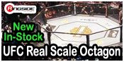 UFC REAL SCALE OCTAGON
