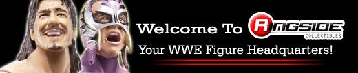 welcome to ringside v4 jpg