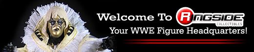 welcome to ringside v7 jpg