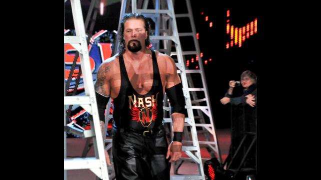 Modern day Mattel WWE Elite Kevin Nash from TLC 2011?