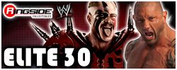 http://www.ringsidecollectibles.com/mm5/graphics/00000001/elite30_logo2.jpg