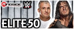 http://www.ringsidecollectibles.com/mm5/graphics/00000001/elite50_logo.jpg