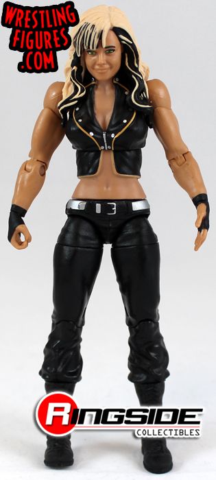 Kaitlyn in Mattel WWE Series 36...her only Mattel WWE figure!