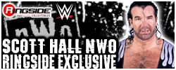 http://www.ringsidecollectibles.com/mm5/graphics/00000001/rex_101_logo.jpg