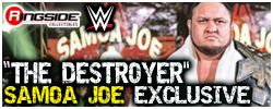 http://www.ringsidecollectibles.com/mm5/graphics/00000001/rex_132_samoa_joe_logo.jpg