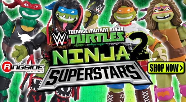 http://www.ringsidecollectibles.com/mm5/graphics/00000001/turtles2_logo_highlight.jpg