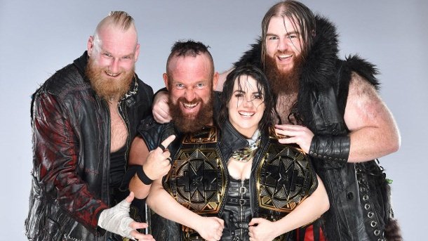 Image result for sanity wwe