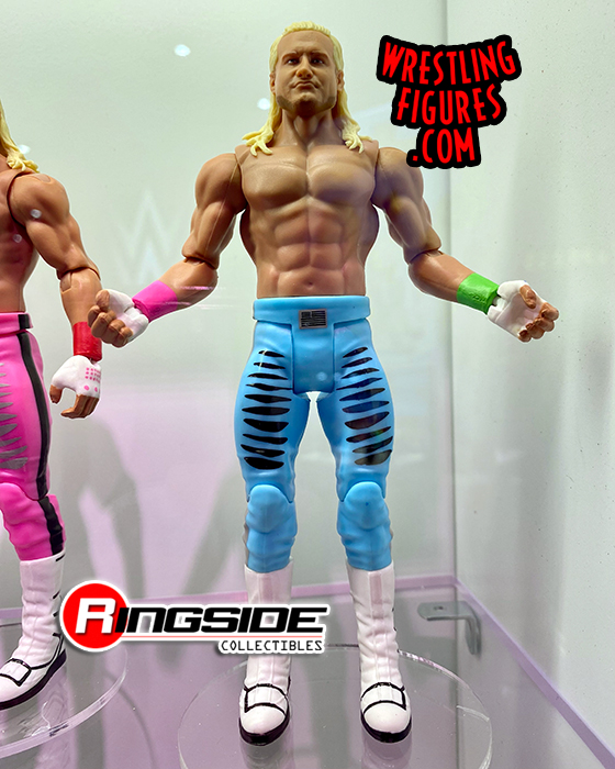 (Chase Variant - Blue) Dolph Ziggler - WWE Series 136 WWE Toy Wrestling Act...
