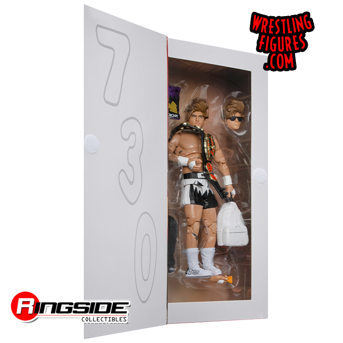 Hook (FTW Champion) - AEW Ringside Exclusive Toy Wrestling Action Figure by  Jazwares!