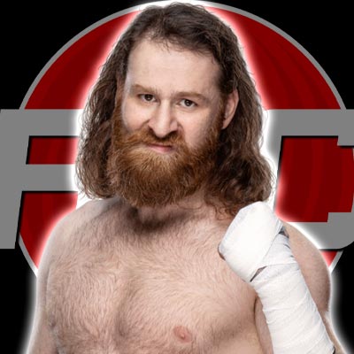 Sami Zayn Image