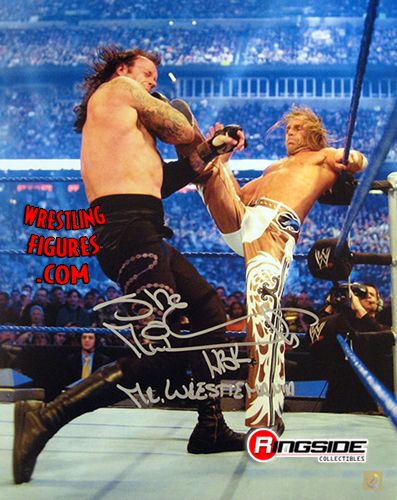 wwe shawn michaels vs undertaker