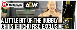 Chris Jericho A Little Bit of the Bubbly Ringside Exclusive AEW Toy Wrestling Action Figure by Wicked Cool Toys