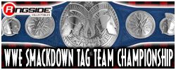 smackdown tag team championship toy belt
